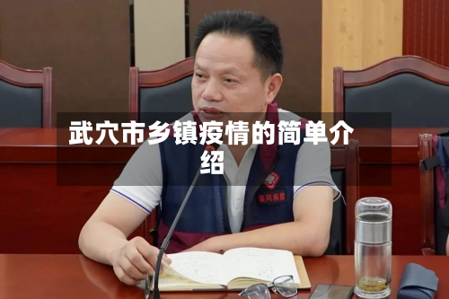 武穴市乡镇疫情的简单介绍