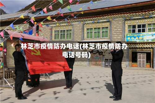 林芝市疫情防办电话(林芝市疫情防办电话号码)-第2张图片