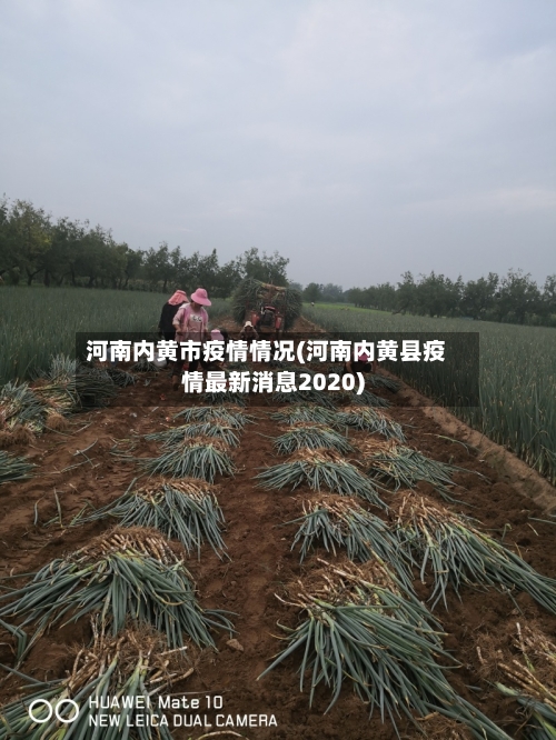 河南内黄市疫情情况(河南内黄县疫情最新消息2020)-第1张图片