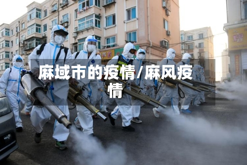 麻域市的疫情/麻风疫情-第2张图片