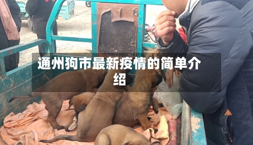 通州狗市最新疫情的简单介绍