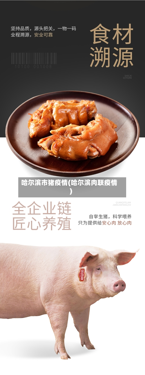 哈尔滨市猪疫情(哈尔滨肉联疫情)-第1张图片