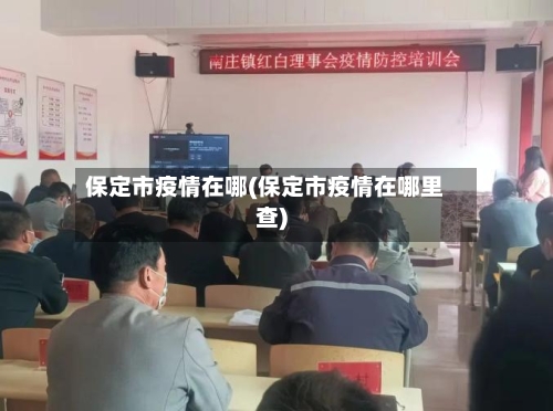 保定市疫情在哪(保定市疫情在哪里查)-第1张图片