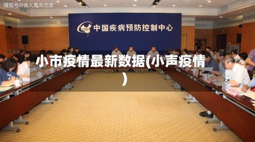 小市疫情最新数据(小声疫情)