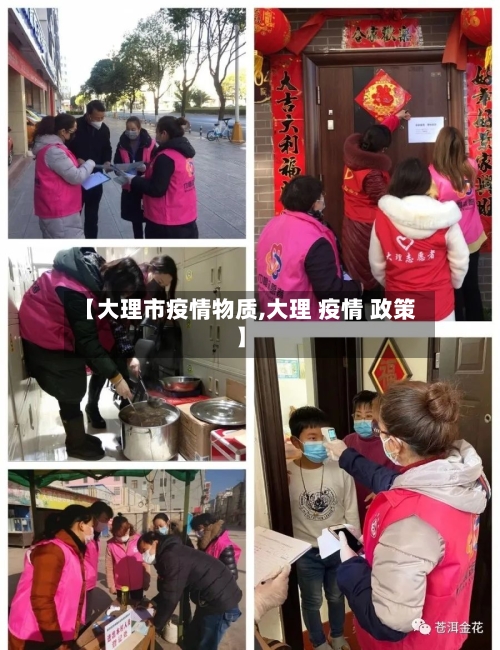 【大理市疫情物质,大理 疫情 政策】