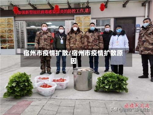 宿州市疫情扩散/宿州市疫情扩散原因
