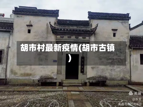 胡市村最新疫情(胡市古镇)-第2张图片