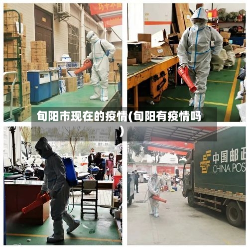 旬阳市现在的疫情(旬阳有疫情吗)