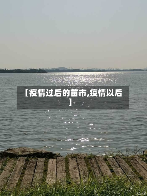 【疫情过后的苗市,疫情以后】