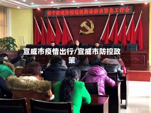 宣威市疫情出行/宣威市防控政策-第2张图片