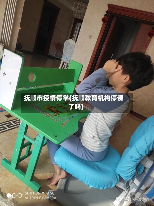 抚顺市疫情停学(抚顺教育机构停课了吗)-第3张图片