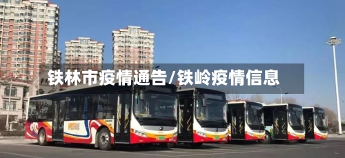 铁林市疫情通告/铁岭疫情信息-第3张图片