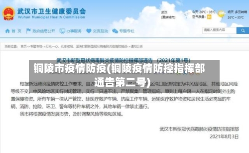铜陵市疫情防疫(铜陵疫情防控指挥部通告第二号)-第2张图片