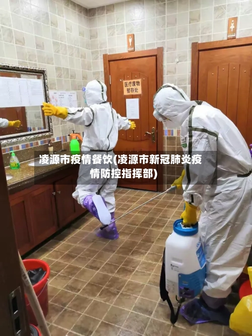 凌源市疫情餐饮(凌源市新冠肺炎疫情防控指挥部)