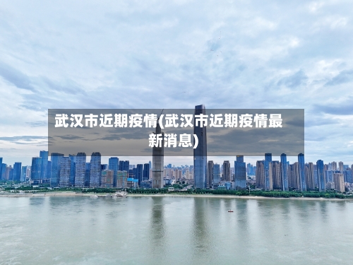 武汉市近期疫情(武汉市近期疫情最新消息)-第2张图片