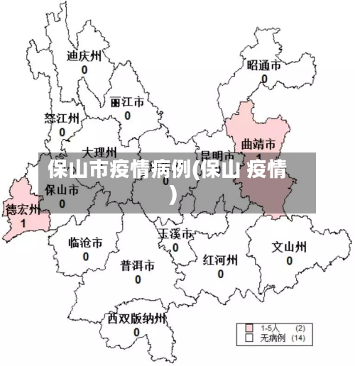 保山市疫情病例(保山 疫情)-第2张图片
