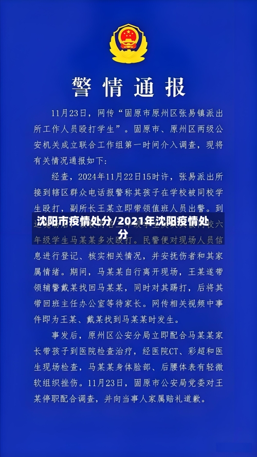 沈阳市疫情处分/2021年沈阳疫情处分