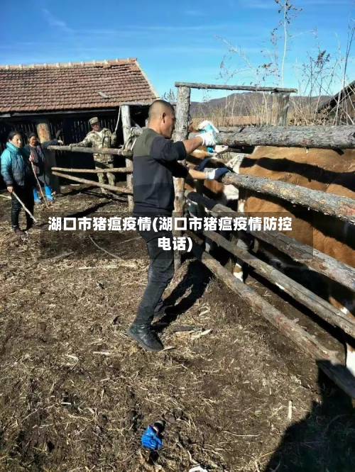 湖口市猪瘟疫情(湖口市猪瘟疫情防控电话)-第3张图片
