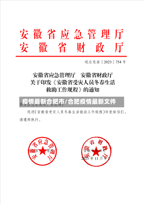 疫情最新合肥市/合肥疫情最新文件-第2张图片