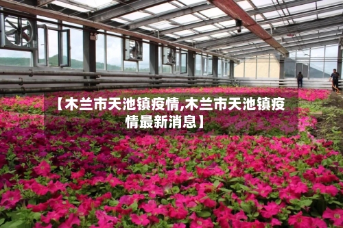 【木兰市天池镇疫情,木兰市天池镇疫情最新消息】-第1张图片