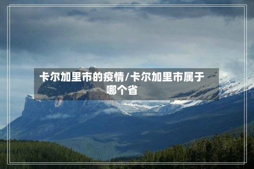 卡尔加里市的疫情/卡尔加里市属于哪个省-第1张图片