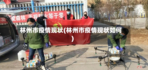 林州市疫情现状(林州市疫情现状如何)-第2张图片