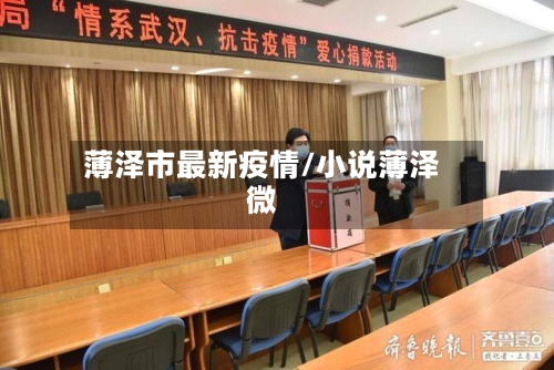 薄泽市最新疫情/小说薄泽微-第1张图片