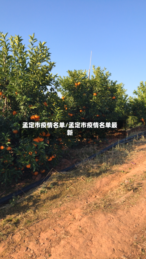 孟定市疫情名单/孟定市疫情名单最新-第2张图片