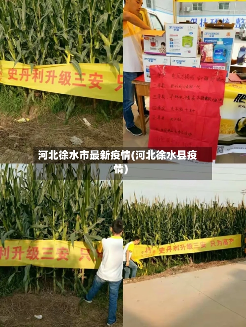 河北徐水市最新疫情(河北徐水县疫情)-第1张图片