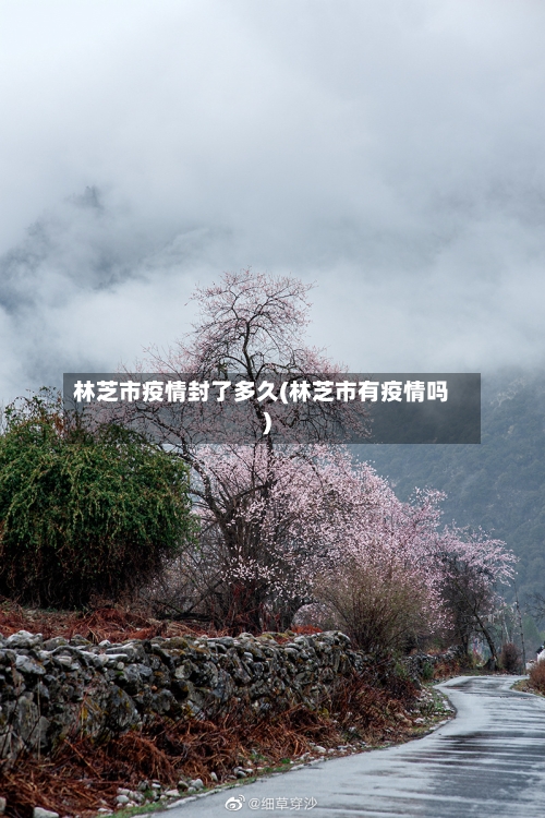 林芝市疫情封了多久(林芝市有疫情吗)-第1张图片