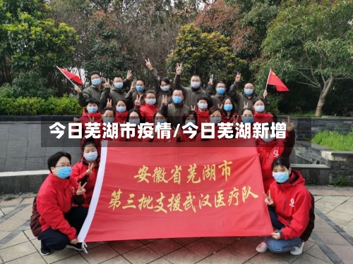 今日芜湖市疫情/今日芜湖新增-第2张图片