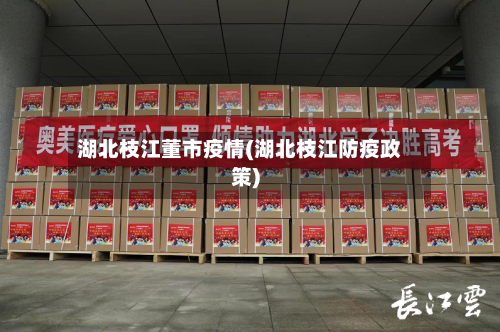 湖北枝江董市疫情(湖北枝江防疫政策)-第1张图片