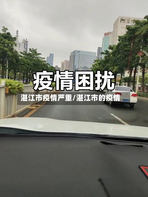 湛江市疫情严重/湛江市的疫情-第2张图片