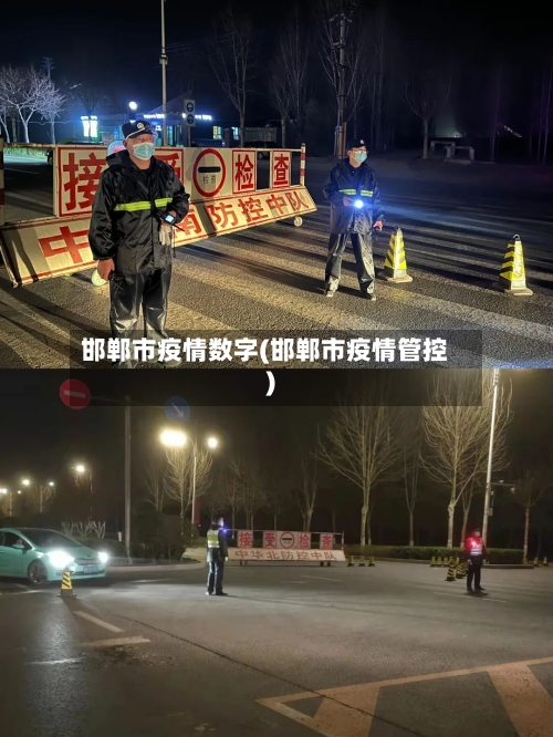 邯郸市疫情数字(邯郸市疫情管控)