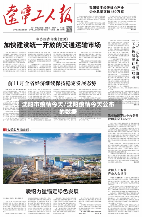 沈阳市疫情今天/沈阳疫情今天公布的数据-第2张图片