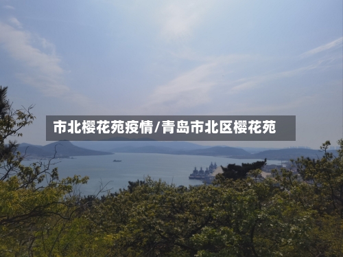 市北樱花苑疫情/青岛市北区樱花苑-第2张图片