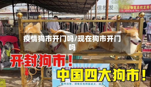 疫情狗市开门吗/现在狗市开门吗-第1张图片