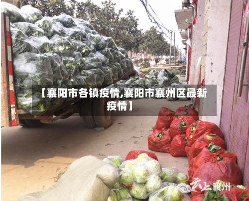 【襄阳市各镇疫情,襄阳市襄州区最新疫情】-第1张图片