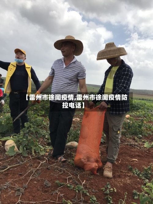 【雷州市徐闻疫情,雷州市徐闻疫情防控电话】-第2张图片