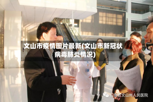 文山市疫情图片最新(文山市新冠状病毒肺炎情况)-第1张图片