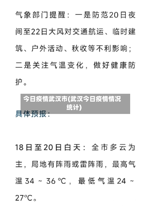 今日疫情武汉市(武汉今日疫情情况统计)-第3张图片
