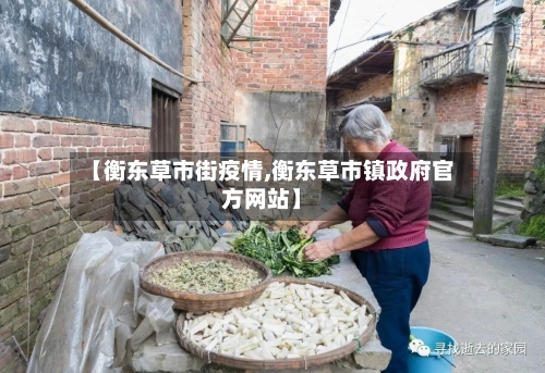 【衡东草市街疫情,衡东草市镇政府官方网站】-第1张图片