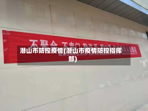 潜山市防控疫情(潜山市疫情防控指挥部)-第2张图片