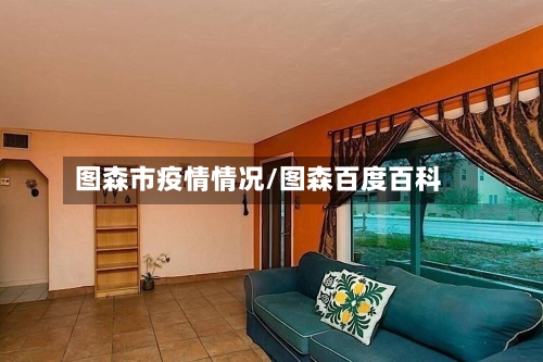 图森市疫情情况/图森百度百科-第2张图片