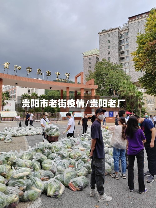 贵阳市老街疫情/贵阳老厂-第2张图片