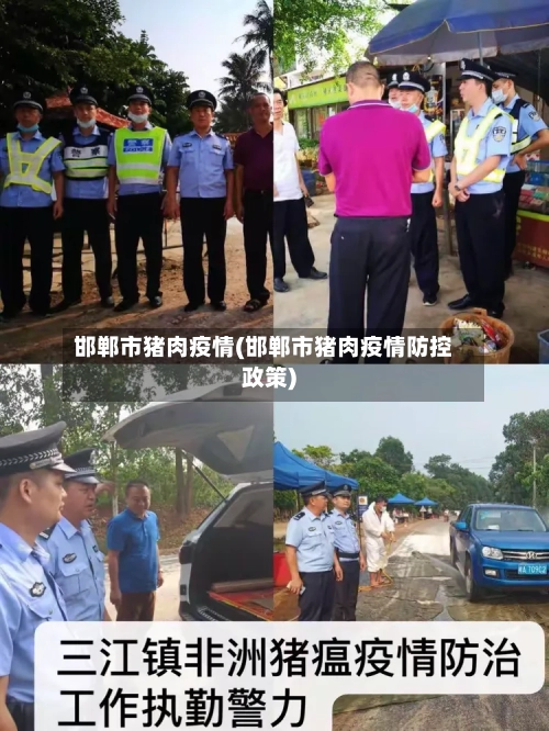 邯郸市猪肉疫情(邯郸市猪肉疫情防控政策)-第1张图片