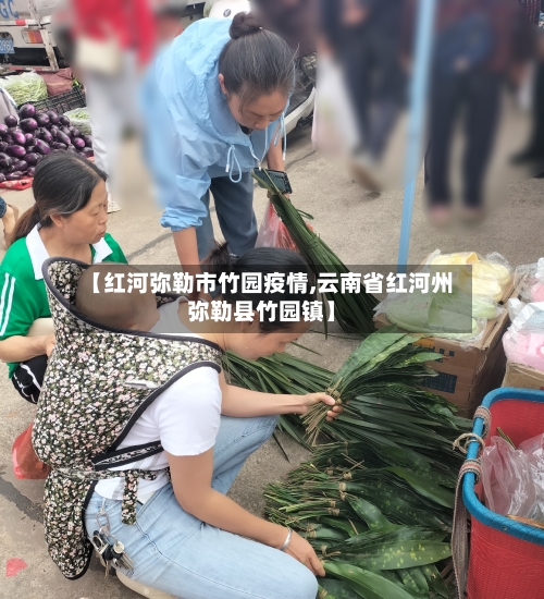 【红河弥勒市竹园疫情,云南省红河州弥勒县竹园镇】-第1张图片