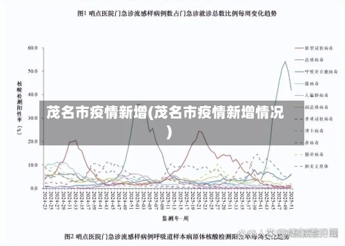 茂名市疫情新增(茂名市疫情新增情况)-第1张图片