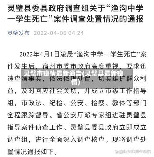 灵璧市疫情最新通告(灵璧县最新疫情)-第2张图片