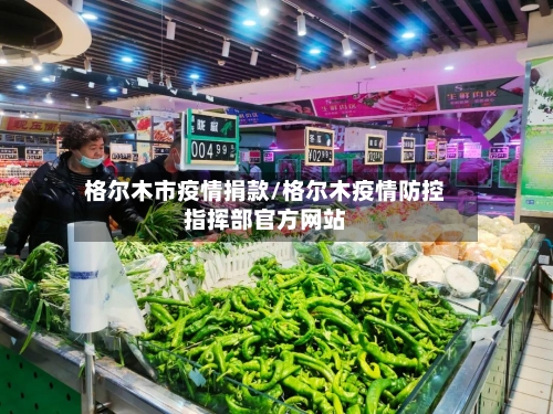 格尔木市疫情捐款/格尔木疫情防控指挥部官方网站-第1张图片